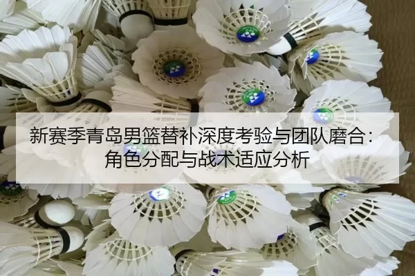 新赛季青岛男篮替补深度考验与团队磨合：角色分配与战术适应分析 - Kaiyun